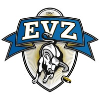EVZ logo - Similar company to Biolitec Vista Gmbh