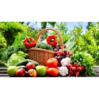 AGROTUR XPERIENCE TAS logo - Similar company to Cooperativa Agricolă De Producție Drobeta