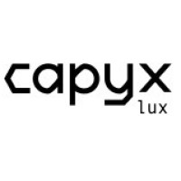 CAPYX Luxembourg logo - Similar company to Capyx