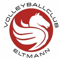 Volleyballclub 2010 Eltmann e.V. logo - Similar company to Logomotif.Lu Sàrl