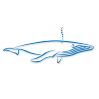 Bluewhale Studios, Inc. logo - Similar company to Inmedius