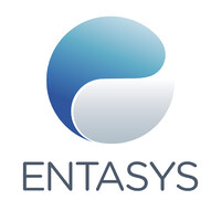 Entasys logo - Similar company to Performa.Me