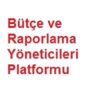 Bütçe ve Raporlama Yöneticileri Platformu logo - Similar company to Budgetlab Bütçe Ve Raporlama Yazılımı