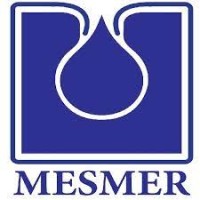 Mesmer logo - Similar company to Innvol