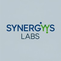 Synergys labs logo - Similar company to Elevate Digital Research