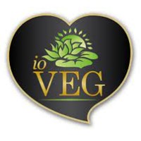IO VEG - CONSORZIO ETICO SRL logo - Similar company to Supersamastore