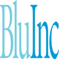 Blu Inc Media logo - Similar company to Luxuo