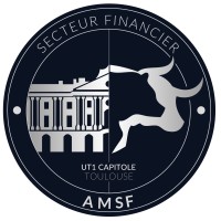Association du Master Secteur Financier logo - Similar company to Master Secteur Financier
