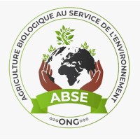 ONG ABSE logo - Similar company to Sedana