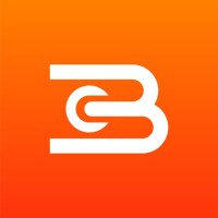 BigcoinVietnam logo - Similar company to Blockdown Festival