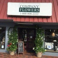 Company Flowers logo - Similar company to Plntr