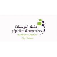 pépinière d'entreprises Béchar logo - Similar company to Bechar
