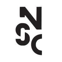 Nexus Strategic Consultants logo - Similar company to Next Campaign Technologies