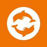 Dolphin Tecnologia logo - Similar company to Mettzer