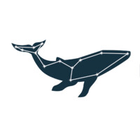 Constellation Learning Institute logo - Similar company to Jpaul Construction Services