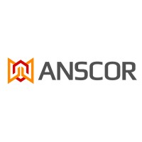 Anscor Capital & Investment Pvt. Ltd logo - Similar company to Aris Capital