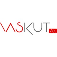 Vaskut AI - House of Innovation! logo - Similar company to Vibe Internet Solutions Pvt Ltd