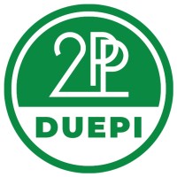 Duepi Srl logo - Similar company to Beehave S.R.L.