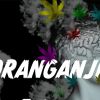 ORAGANJI logo - Similar company to Stable Consult Group