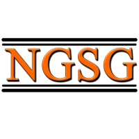 New Generation Sales Group logo - Similar company to Stratcenter.Com