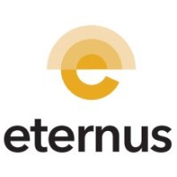 Eternus Energy logo - Similar company to Eternus Technology