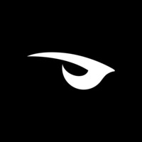 Raven logo - Similar company to Vrb (
