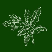 Empresa de Agronegócio logo - Similar company to Metta Agronegócio