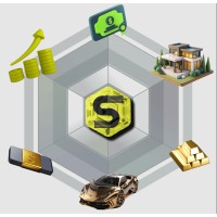 RWA Superland logo - Similar company to Ignite Value Partners