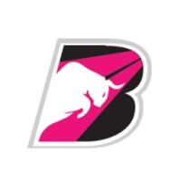 NBJM Digital Marketing Agency logo - Similar company to Epsess