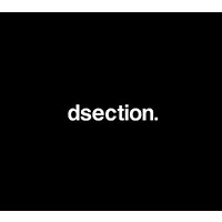 DSECTION logo - Similar company to Timeless C.S.