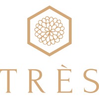 Très India logo - Similar company to Inooki.Com