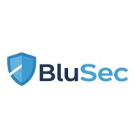 Blu Sec logo - Similar company to Networking Dynamics Corporation