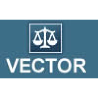 Vector Professions Finance