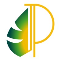 Paradise Market logo - Similar company to Tvs Tech Visual Sport