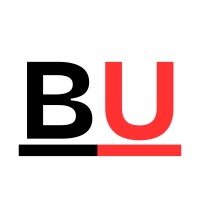 Buttoned Up Consulting logo - Similar company to Osu The Practice