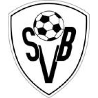 SV Blerick logo - Similar company to Ffniks