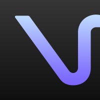 Vadi Sound logo - Similar company to Madrooster Game Audio Lab