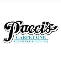 Pucci Carpet One Floor & Home