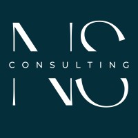 Nelson Spencer Consulting logo - Similar company to Llobe Design