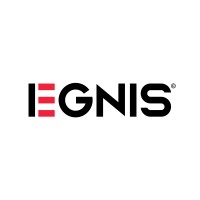 EGNIS logo - Similar company to Dongle Lab 🍊
