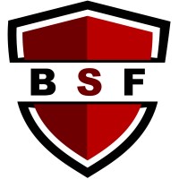 Blink Security Force logo - Similar company to Arrowhead Security
