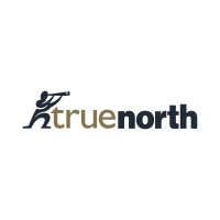 True North ITG Inc logo - Similar company to Work Authentically