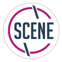 SCENEgineering Ltd logo - Similar company to Remcoz
