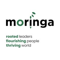 Moringa Leadership logo - Similar company to Moringa Conseil