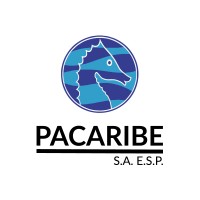 Pacaribe logo - Similar company to Innovation Logistics | Innovalog