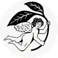 Nuditea logo - Similar company to Yalah Dubai