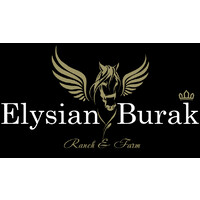 Elysian Burak logo - Similar company to Merlinsight