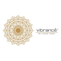 VIBRANCE WORLD logo - Similar company to Md Technologies Usa