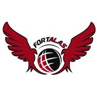 Fortalas Inc. logo - Similar company to Synovatec Inc.