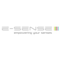 E-sense Entertainment logo - Similar company to Singularies Events Private Limited